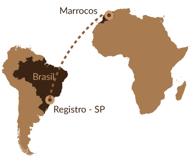 Trajeto de Marrocos ao Brasil